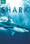 Tiburones - BBC Earth